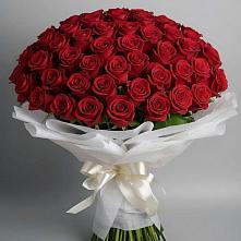 Букет 101 Красная роза Блэк Мэджик #REPLACE_PRED# Малошуйке