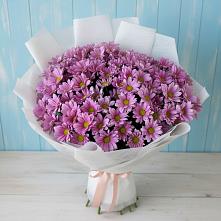 Букет цветов из:  Хризантемы #REPLACE_PRED# Малошуйке