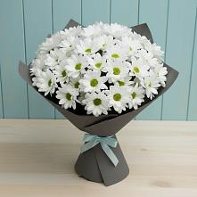 Букет цветов из:  Хризантемы #REPLACE_PRED# Малошуйке