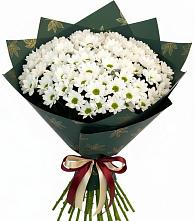 Букет цветов из:  Хризантемы в Малошуйке