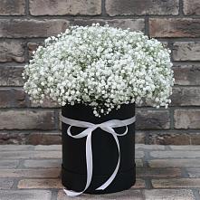 Цветочная композиция из Гипсофила в шляпной коробке в Малошуйке