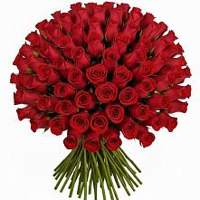 Букет Красные розы Чери Лав в Малошуйке