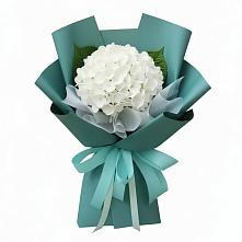 Букет цветов из:  Гортензия в Малошуйке